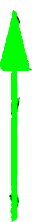 作品